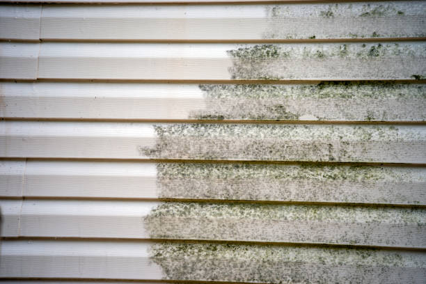 Best Shed Removal  in Woodworth, LA
