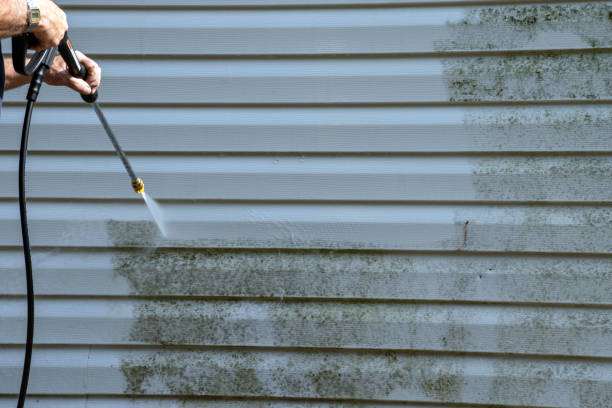 Professional Junk Removal in Woodworth, LA
