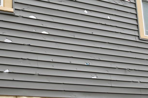 Best Recycling Services for Junk  in Woodworth, LA